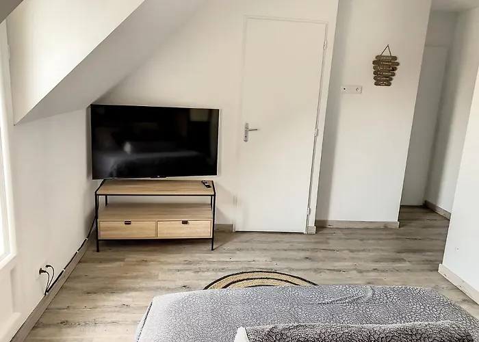 Reve - Sdb Wc Privatif - Entree Autonome - Grande Tv Netflix 3*